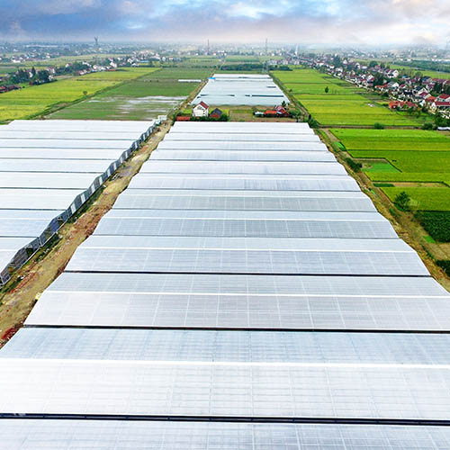 farm greenhouse 